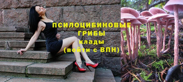 МДПВ Богданович