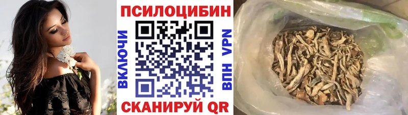 OMG зеркало  Менделеевск  Галлюциногенные грибы Psilocybe 